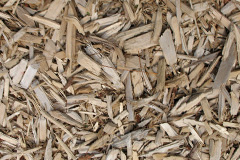 biomass boilers Llettyrychen